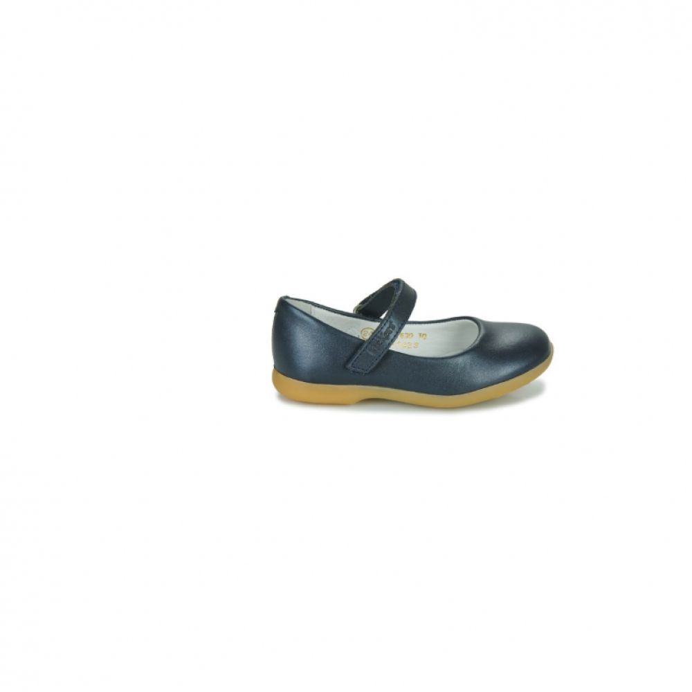 Ambelie marine – Image 2